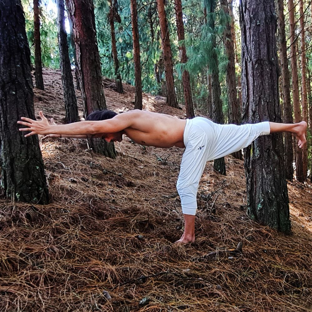 La armonía entre cuerpo y naturaleza: Una persona sin camisa equilibra en una pierna, brazos extendidos hacia adelante, en medio de un exuberante bosque