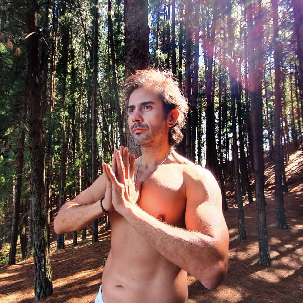 La serenidad en la naturaleza: Una persona sin camisa medita con las manos juntas frente al pecho en medio de un bosque, encontrando paz y conexión.
